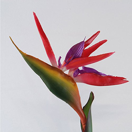 Benoon Künstliche Blumen, künstliche Pflanzen, künstliche Blume, Paradiesvogel, künstliche Pflanze, Seide, Strelitzia Reginae, Heimdekoration, Rot von Benoon