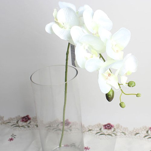 Benoon Künstliche Blumen für den Außenbereich, künstliche Schmetterling-Orchidee, Blume, 1 Stück, Hochzeit, Heimdekoration, künstliche Stoffblume, weiß Benoon Künstliche Blumen für den Außenbereich, künstliche Schmetterling-Orchidee, Blume, 1 Stück, Hochzeit, Heimdekoration, künstliche Stoffblume, weiß von Benoon