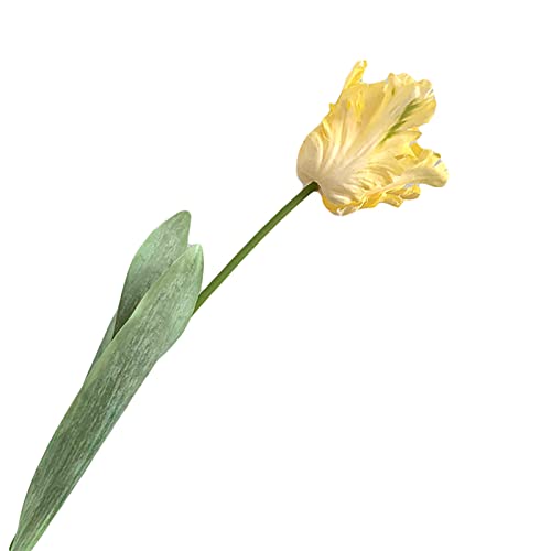 Benoon Kunstblume, 1 Stück, künstliche Blume, lebendig, dekorativ, 68 cm, 3D-Papageientulpe, echte Haptik, künstliche Blume für Zuhause, künstliche Blüten für Hochzeit von Benoon