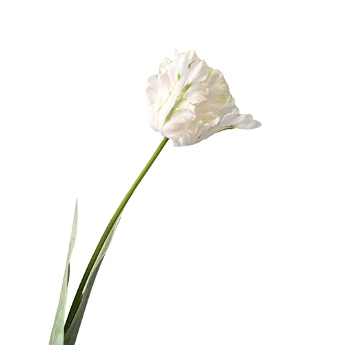 Benoon Kunstblume, 1 Stück, künstliche Blume, lebendig, dekorativ, 68 cm, 3D-Papageientulpe, echte Haptik, Blume für Zuhause, Weiß von Benoon