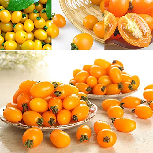 Benoon Tomatensamen, 200 Stück/Beutel Tomatensamen Süß Einfach Zu Lagerndes Gemüse Pflanzensamen Für Zu Hause Gelb von Benoon