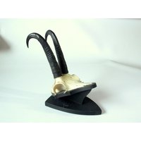 Traditionelles Geweih Aus Österreich Auf Qualitäts-Holzplinte, Wandgehörn, Antler von BensGermanVintage