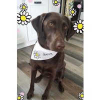 Die Daisy Personalisierte Hund Bandana von BentleysBandanasCo