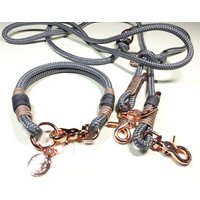 Hundehalsband Hundeleine Tau Set Halsbandset Aus Ppm in Grau Mit Ledertakelung Personalisiert von BenzoDesign