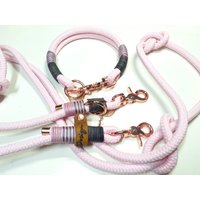 Tau Set Hundehalsband Hundeleine Halsbandset Aus Ppm in Rosé Mit Ledertakelung Personalisiert von BenzoDesign