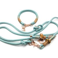Tau Set Hundehalsband Hundeleine Halsbandset "Sweetheart" Aus Ppm in Mintgrün Mit Ledertakelung Personalisiert von BenzoDesign