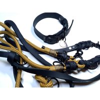 Tauset Verstellbares Hundehalsband Hundeleine Aus Schwarzem Fettleder Und Tau in Camel Personalisiert Tauset Verstellbares Hundehalsband Hundeleine Aus Schwarzem Fettleder Und Tau in Camel Personalisiert von BenzoDesign