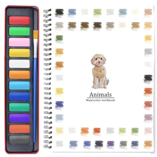 Beojonvy Arbeitsbuch Aquarell, Malbuch für Erwachsene, malbuch mit Wasserfarben, Watercolor Workbook mit 12 Farben Aquarellfarbe mit Wassertankpinsel Exquisite Muster Stress Abbauen und Entspannen von Beojonvy