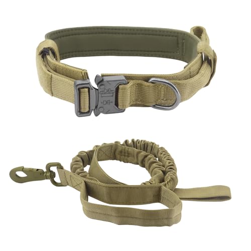 Beowanzk Bungee Hundeleine, Stoßdämpfer Hundeleine, XL, Khaki von Beowanzk