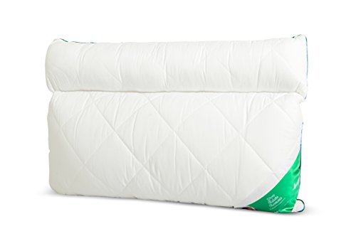 Bequemes Anatomisches Kopfkissen Schlafkissen 2-Kammer mit Rolle Mikrofaser Kissen mit Reißverschluss Relaxkissen 50x60 50x70 70x80 weiß rosa Ecru waschbar 60 Grad Premium Qualität (weiß, 50 x 70 cm) Bequemes Anatomisches Kopfkissen Schlafkissen 2-Kammer mit Rolle Mikrofaser Kissen mit Reißverschluss Relaxkissen 50x60 50x70 70x80 weiß rosa Ecru waschbar 60 Grad Premium Qualität (weiß, 50 x 70 cm) von Bequemes