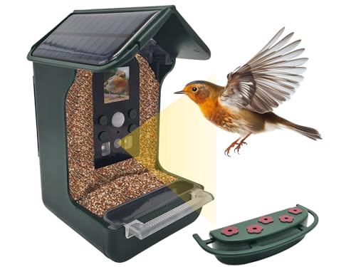 Berger & Schröter | Vogel-Futterhaus mit 1080P Kamera Solar Wassertränke 940nm IR LED Automatische Video/Fotoaufnahme von Vögeln Bewegungserkennung Nachtsicht, Grün von Berger + Schröter GmbH
