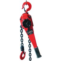 GS Kettenzug 1500KG GS Kettenzug 1500KG von Berger & Schröter