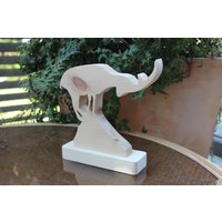 steinbock Aus Zirbenholz steinbock Aus Zirbenholz von BergholzShop