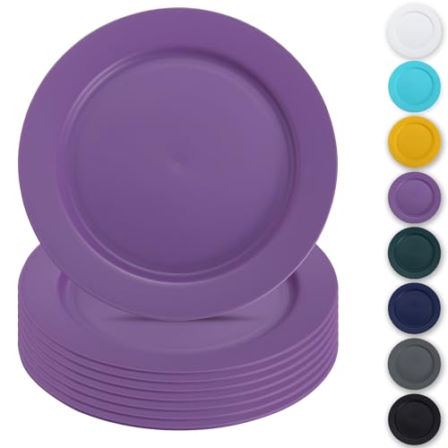 Berglander Kunststoff teller-Set mit 8 Stück 25cm, lila Mehrwegige flache Speiseteller, Salatteller, Nudelschalen, Geschirrset leicht zu tragen für Zuhause, Garten, Picknick, Camping, im Freien von Berglander