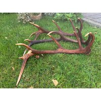 Geweih Geweihstange Vom Chiemgauer Rothirsch Abwurfstangen von Bergweih