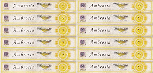 Berk HS-100 Räucherstäbchen - Ambrosia, 10 g, 12er Pack von Berk