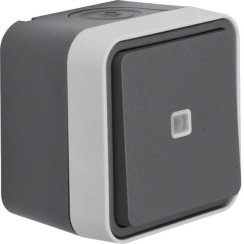 Berker Steckdose Berker 31763505 Kontroll-Wechselschalter Ap W.1 grau von Berker