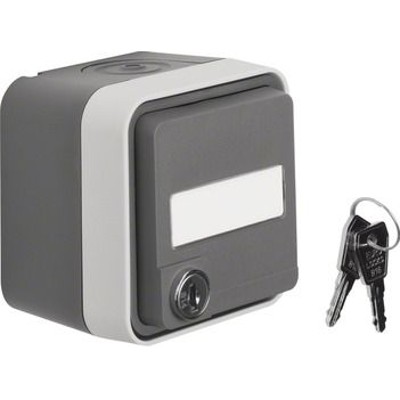 Steckdose 1f lgr mt W.1 AP m.KS Klappd IP55 mit erhöhtem Berührungsschutz von Berker