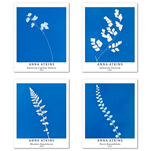 Berkin Arts Kunstdruck Ungerahmt Bilder Set von 4, Poster Größe: 28x35 cm Premium Blumen Kunstpapier Wanddeko Blue Moderne Natur Retro Pflanzen Blatt Passenden Schlafzimmer Deko Anna Atkins Posters von Berkin Arts