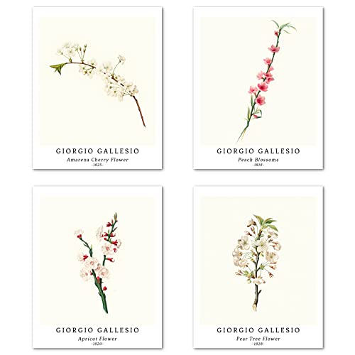 Kunstdruck Ungerahmt Bilder Set von 4, Poster Größe: 20x25 cm Premium Blumen Kunstpapier Wanddeko Beige Natur Frau Liebe Retro Pflanzen Illustration Passenden Home Deko Giorgio Gallesio Paintings von Berkin Arts