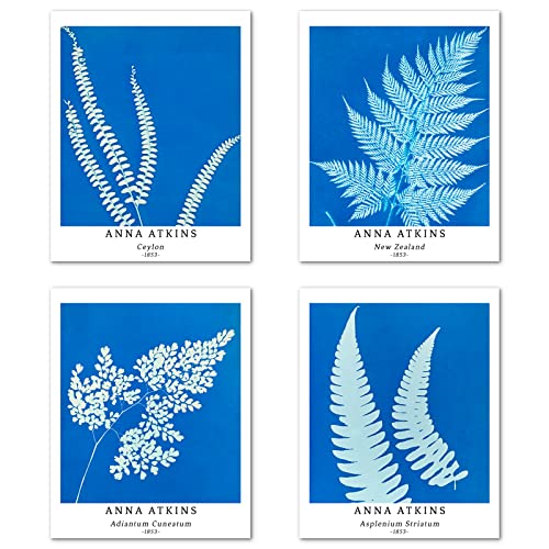 Kunstdruck Ungerahmt Bilder Set von 4, Poster Größe: 28x35 cm Premium Blumen Kunstpapier Wanddeko Blue Stilvolles Frau Retro Pflanzen Blätter Botanische Passenden Home Deko Anna Atkins Pictures von Berkin Arts