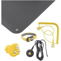 Bernstein Tools ESD-Handling-Set Schwarz von Bernstein Tools