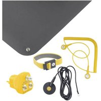 Bernstein Tools ESD-Handling-Set Schwarz von Bernstein Tools