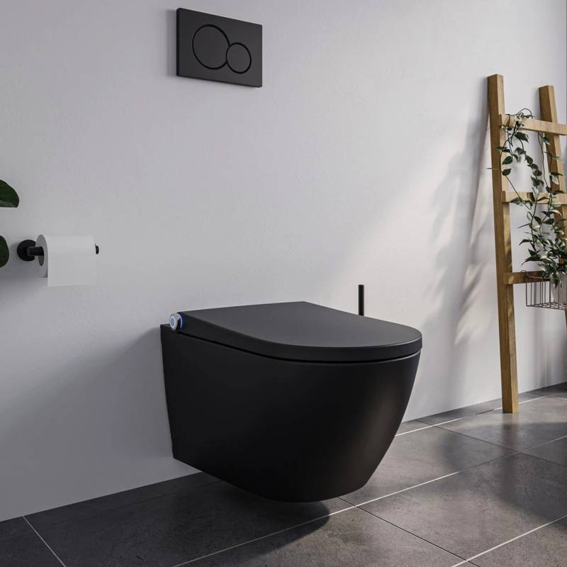 Bernstein DUSCH-WC PREMIUM 1102 Schwarz Matt Komplettset mit Entkalkungsfunktion Bernstein DUSCH-WC PREMIUM 1102 Schwarz Matt Komplettset mit Entkalkungsfunktion von Bernstein