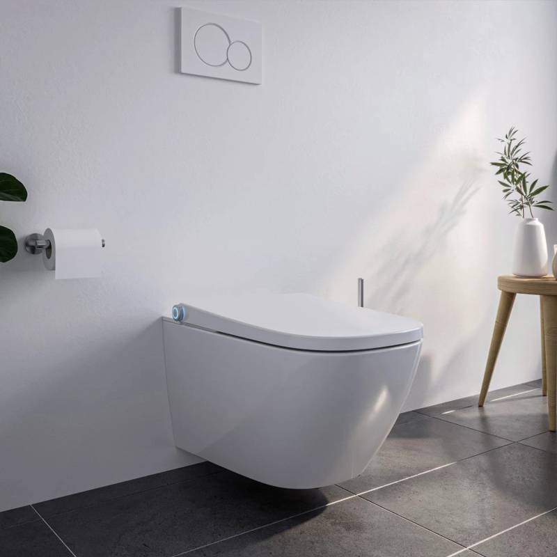 Bernstein Dusch-WC Basic 1104 Weiß Komplettset mit Gesäß- und Ladydusche Bernstein Dusch-WC Basic 1104 Weiß Komplettset mit Gesäß- und Ladydusche von Bernstein