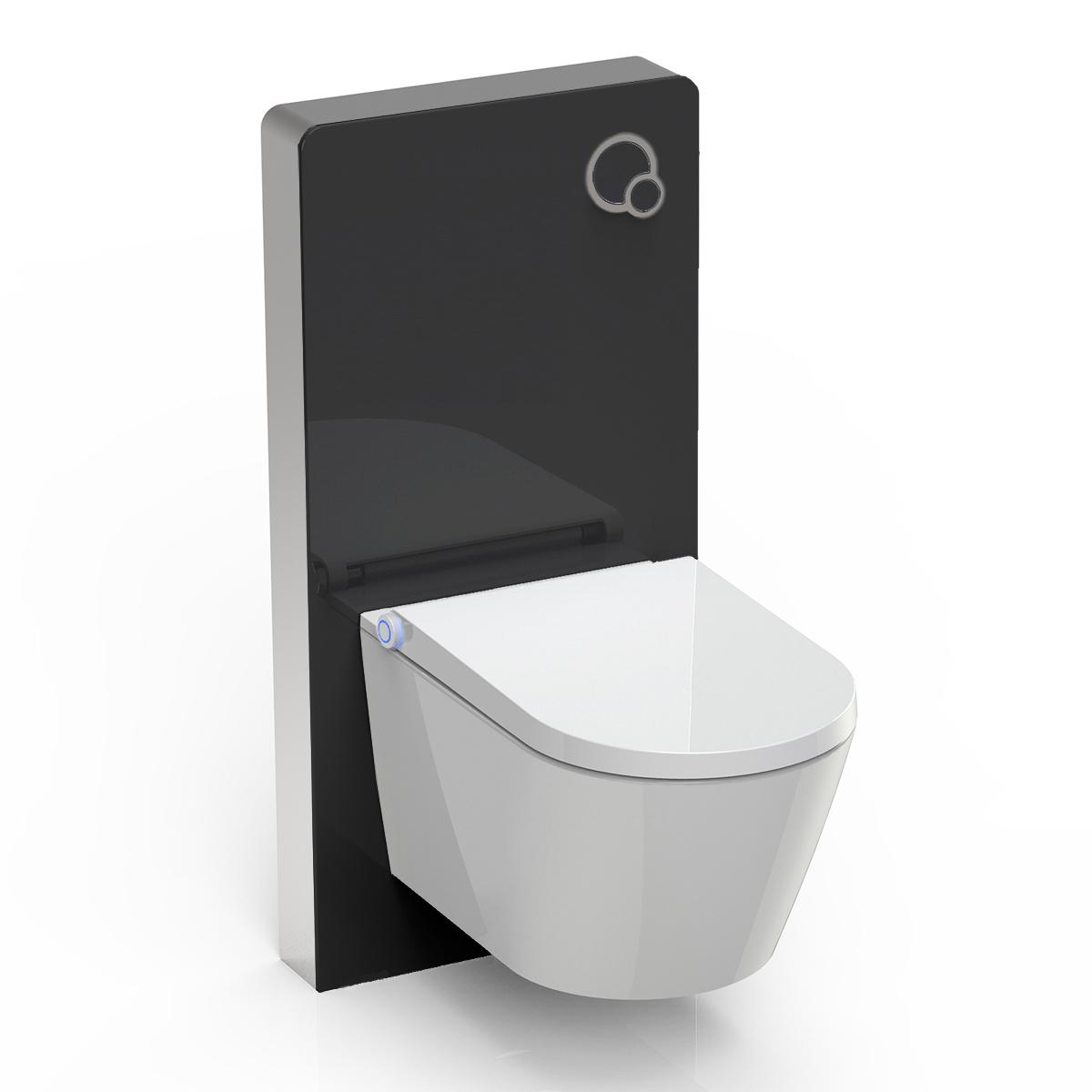 WC-Sparpaket 7: Dusch-WC Basic 1102 & Sanitärmodul 805 in Schwarz von Bernstein