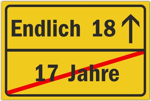 18 Geburtstag Schild - Lustige Geschenke oder Dekoration - Party Deko Geschenkideen für den 18 - Geschenk für Mädchen und Junge - 30x20 cm x 3 mm Kunststoff - BerpaHome von BerpaHome