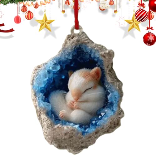 Berriphonie-Ornamente für Baum | 4 Zoll großes Loch für kleine Tiere, Dekoration, Acryl, 2D, abgeschrägt, verbessern Sie Ihre Urlaubsdekoration mit diesen Ornamenten für Bäume, entworfen von Berriphonia