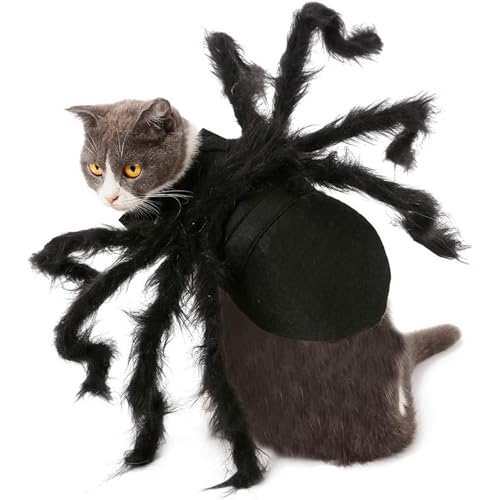Inländische Spinnenkostüm, Simulation Lustige Punktpunkte Für Partys Cosplay | Halloween -Gewürz, Spektralkostüm Für Kleine Haustierbedarf Spinnen -Cat -Kostüm Spinne Für Katze Für Halloween Halloween Inländische Spinnenkostüm, Simulation Lustige Punktpunkte Für Partys Cosplay | Halloween -Gewürz, Spektralkostüm Für Kleine Haustierbedarf Spinnen -Cat -Kostüm Spinne Für Katze Für Halloween Halloween von Berriphonia