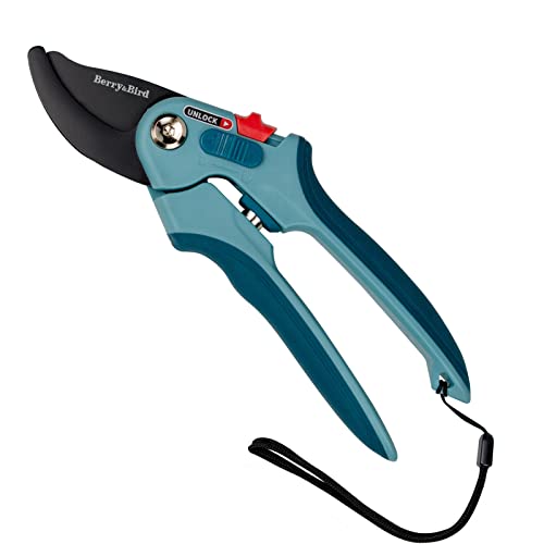 Berry&Bird Gartenschere, 22CM Gartenarbeit Handschere, einstellbare Größe Bypass-Schere, Blumenschere Secateurs mit SK5 High Carbon Steel Blades & Safety Lock für Beschneiden Blumen oder Zweige von Berry&Bird