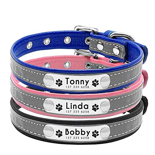 Berry Weich Gepolstert Custom Hundehalsband - Personalisierte Gravur ID Halsbänder mit Namensschild – reflektierend Hunde Hund Katze Halsband – ESA ID-Tag so Geschenk,Schwarz,M von Beirui