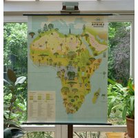 Vintage Afrika Schulkarte Vegetation Original Lehrtafel von Berthavintagecharts