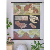 Vintage Schule Biber Jung Koch Quentell Castor Fiber Original Lehrtafel von Berthavintagecharts