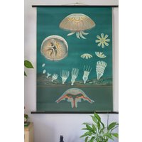 Vintage Schulkarte Qallen Jung Koch Quentell Original Lehrtafel von Berthavintagecharts