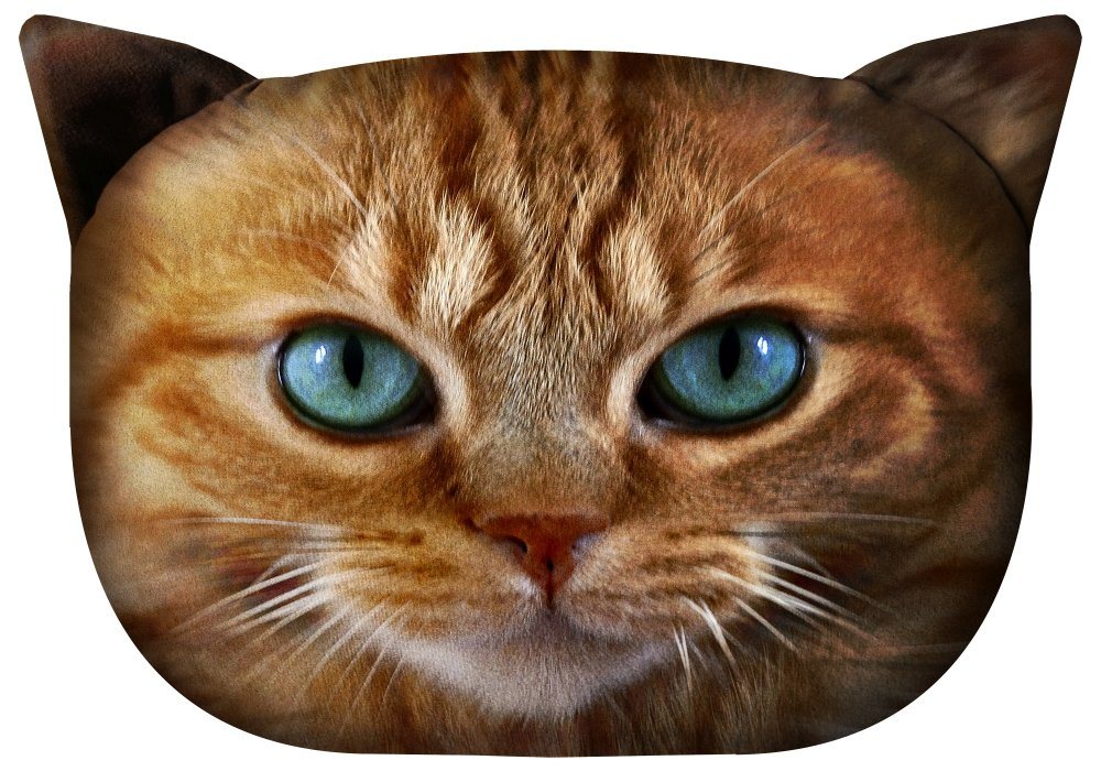 Bertoni Dekokissen, verschiedene Katzenrassen Velours-Material 30x45 cm von Bertoni