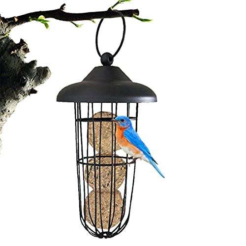 Vogelfutterspender, Eichhörnchen Proof Metall Vogelfutterspender, automatische Hanging Fat Kugelhalter Vogelfutter Spender Vögel Füttern Werkzeug für Outdoor Garten Vogelfutterspender, Eichhörnchen Proof Metall Vogelfutterspender, automatische Hanging Fat Kugelhalter Vogelfutter Spender Vögel Füttern Werkzeug für Outdoor Garten von BesDirect