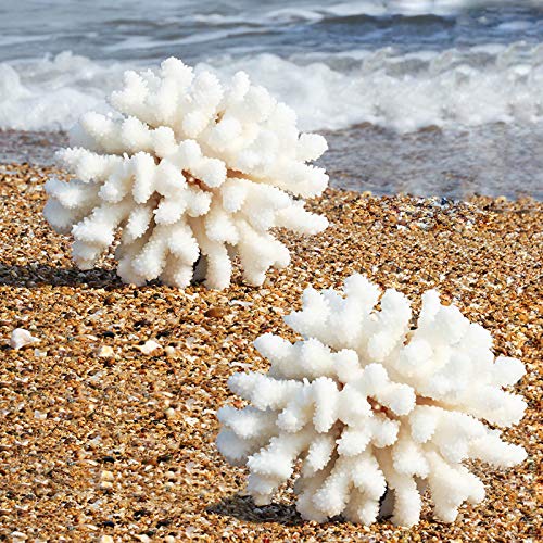 Besimple 2 Stück Künstliche Korallen Ornamente, Aquarium Harz Koralle Dekor Unterwasser Meerespflanzen Aquarium Dekoration Aquarium Pflanzen von Besimple