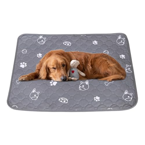 Besreey Urinunterlagen Für Hunde | Kleintier Urinunterlagen Bodenmatte rutschfest Wiederverwendbar | rutschfeste Waschbare Boden Schutz Matten Für Hund Katze Frettchen Hamster Käfig Stubenreinheit Besreey Urinunterlagen Für Hunde | Kleintier Urinunterlagen Bodenmatte rutschfest Wiederverwendbar | rutschfeste Waschbare Boden Schutz Matten Für Hund Katze Frettchen Hamster Käfig Stubenreinheit von Besreey