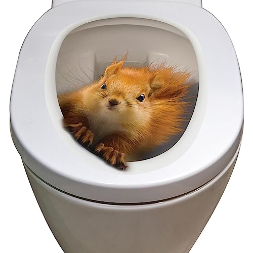Besreey Toilettensitz Eichhörnchen | Toilettensitz Aufkleber | Toilettenaufkleber Mit Eichhörnchen | Toilettendeckel Eichhörnchen | Toilettendeckel Aufkleber Lustig | 20 X 25 cm von Besreey