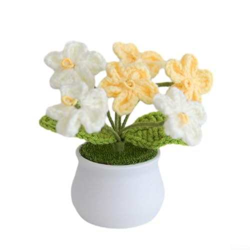 Charmante gewebte Häkel-Pflanzgefäße, auffällige dekorative Optionen auf Schreibtischen (Farbverlauf) von Besshepplo