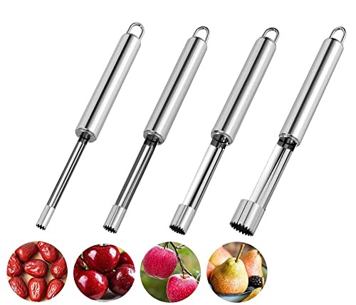Bessy shop Fruit Corer,Fruchtkern Entferner Werkzeug,4PCS Apfelentkerner-Obstgemüsekern Entkerner Multifunktions- -Entkerner-Set Edelstahl-Birnen-Apfel-Entkerner-Entkerner für Haus und Küche,4 Größen von Bessy shop