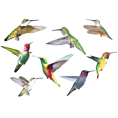 Fenstersticker Vögel,9 Stück Großes Kolibri-Fenster Klammert Sich An Doppelseitigen Druck,Kolibri Fenster Aufkleber Kolibri Fenster Aufkleber,Schutz vor Vogelkollisionen,Schläge auf Fenster von Bessy shop