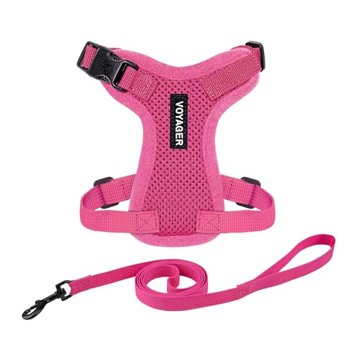 Best Pet Supplies Voyager Step-In Lock Haustiergeschirr – Allwetter-Netz, verstellbares Step-in-Geschirr für Katzen und Hunde – Fuchsia, XXXS von Best Pet Supplies