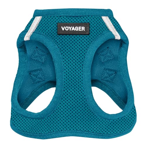 Voyager Step-In Air-Hundegeschirr – Allwetter-Mesh-Step-in-Weste für kleine und mittelgroße Hunde und Katzen von Best Pet Supplies – Geschirr (Türkis), XS (Brust: 33–36,8 cm) von Best Pet Supplies