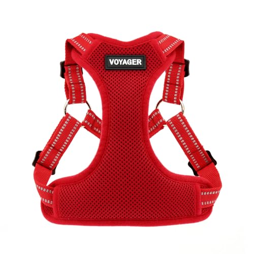 Voyager by Best Pet Supplies Hundegeschirr aus Netzstoff, verstellbar, reflektierend, 3M-Paspelierung, Rot (passender Rand), Größe XS von Best Pet Supplies