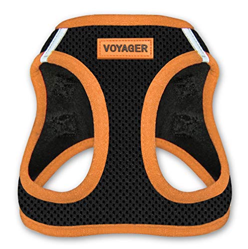 Best Pet Supplies Voyager Step-In Air Hundegeschirr – Allwetter Mesh Step In Weste Geschirr für kleine und mittelgroße Hunde – Orange Trim, XS von Best Pet Supplies